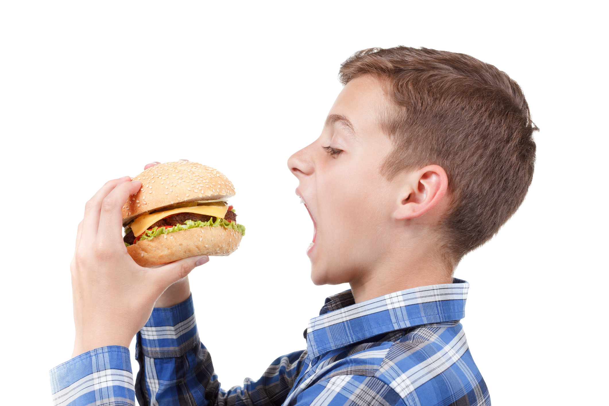Extent of Beyond Meat's Role in McDonald's McPlant Burger Questioned
