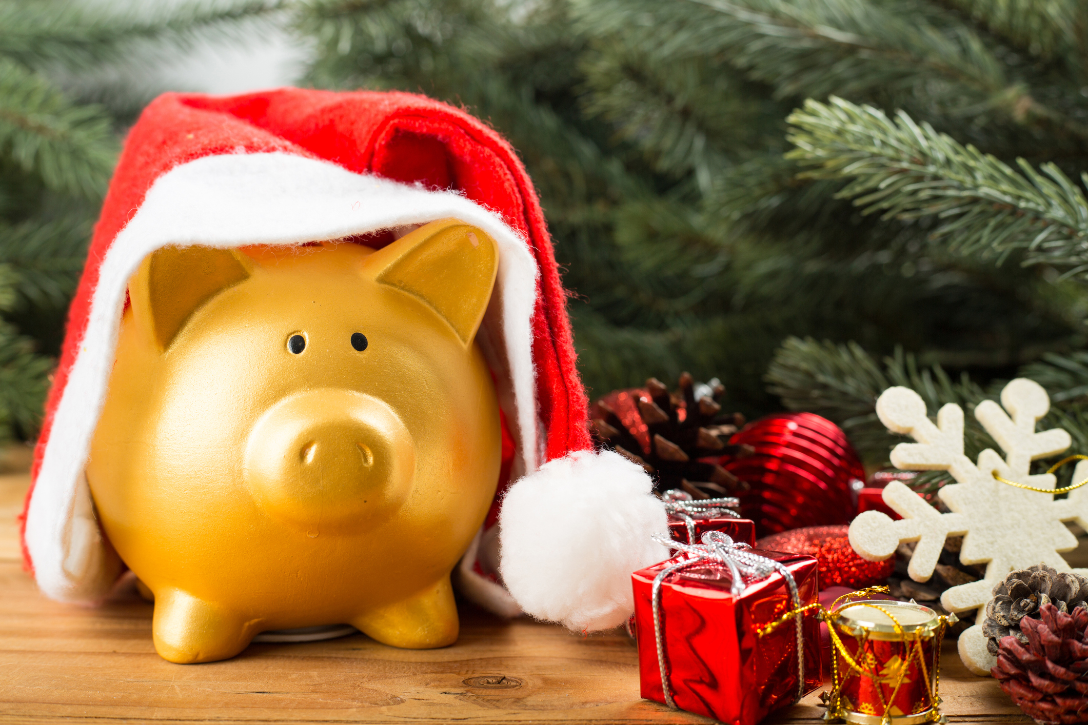 A piggy bank in a Santa hat next to a Christmas tree.