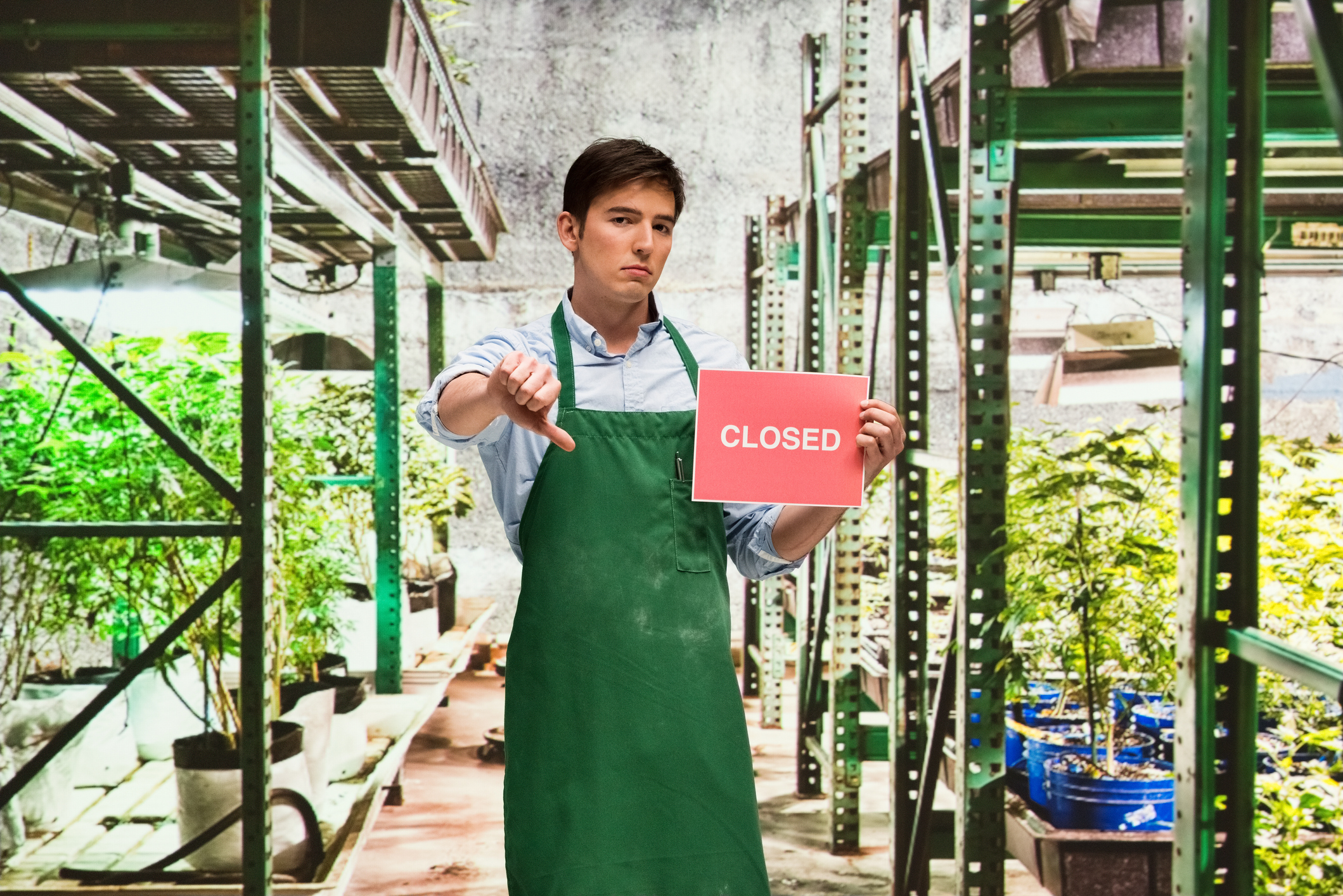 A marijuana farmer expressing discontent that his business is closing with a thumbs-down and a sign that says closed.
