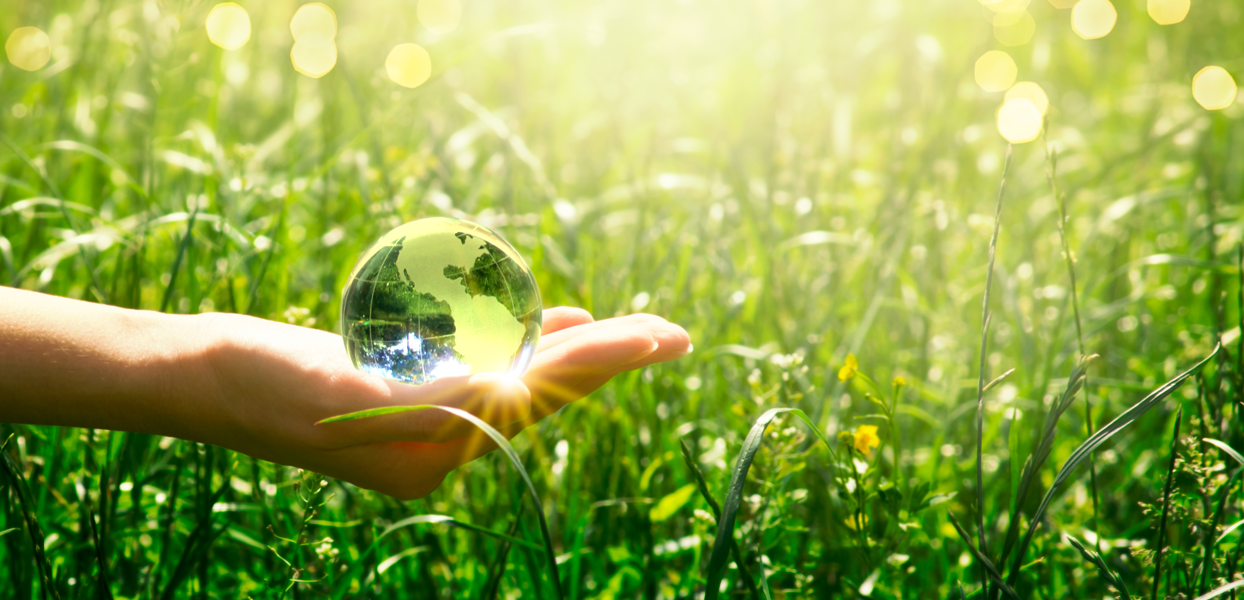 A person holding a globe in their hand.