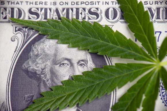 A marijuana leaf on a dollar bill.
