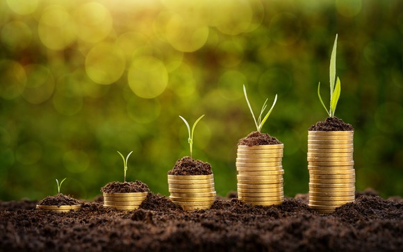 Ascending stacks of coins with seedlings sprouting from them