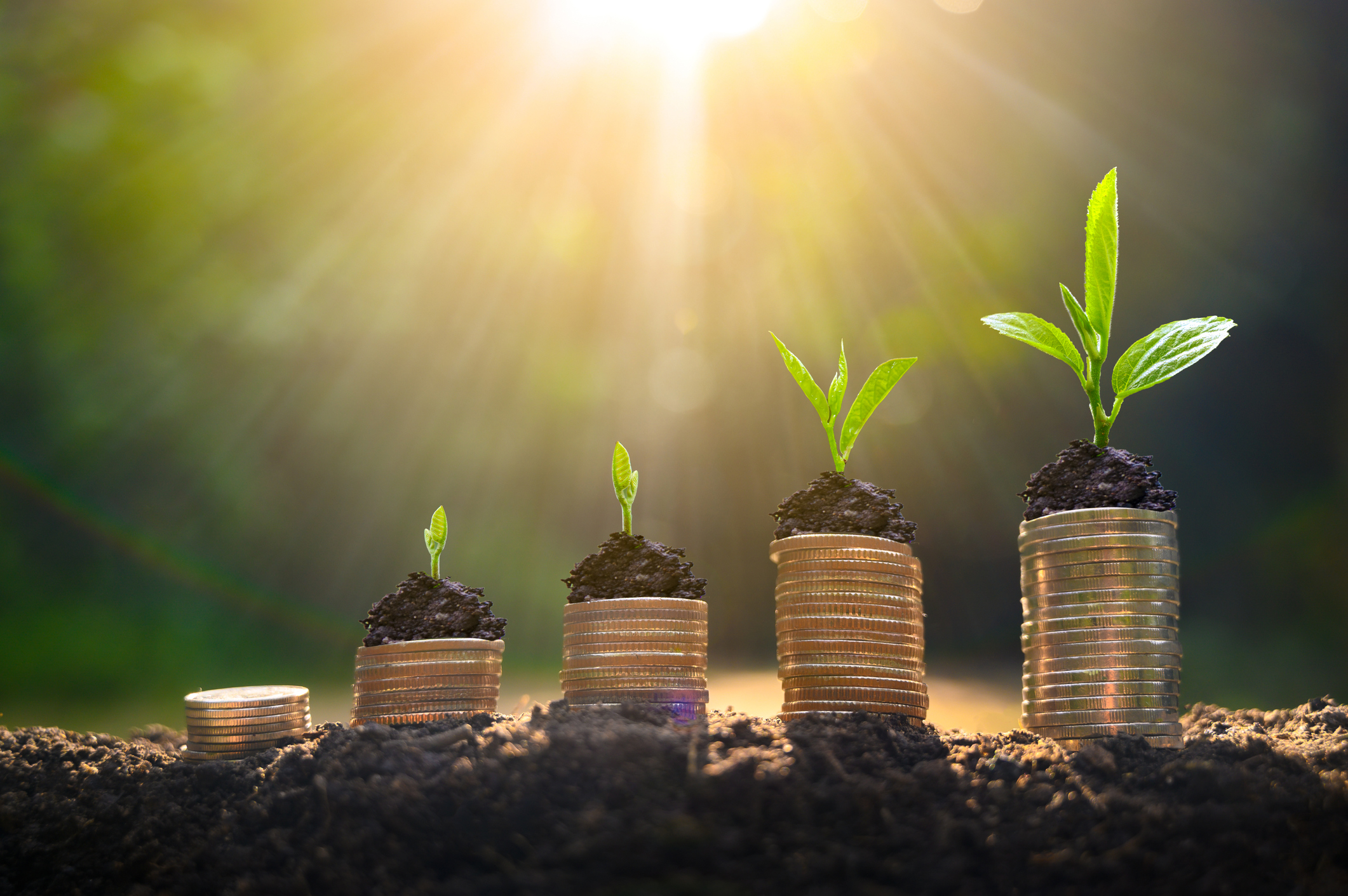 3 Incredibly Cheap Tech Stocks The Motley Fool