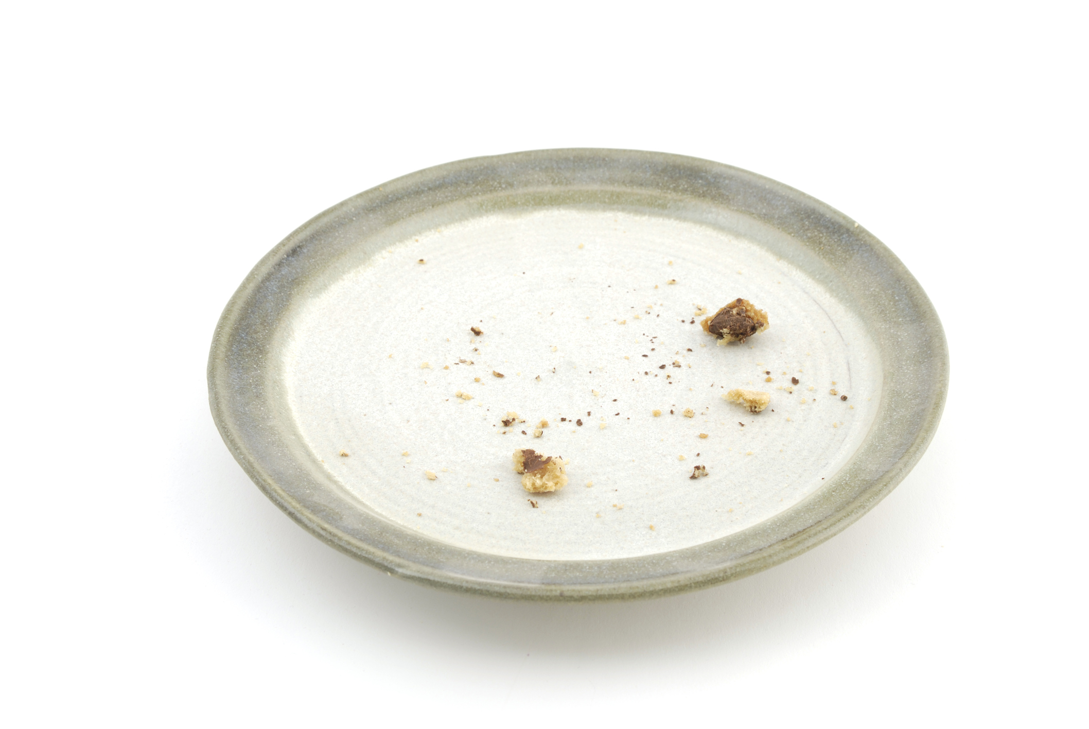 Photo of a white dinner plate, empty except for a handful of crumbs.