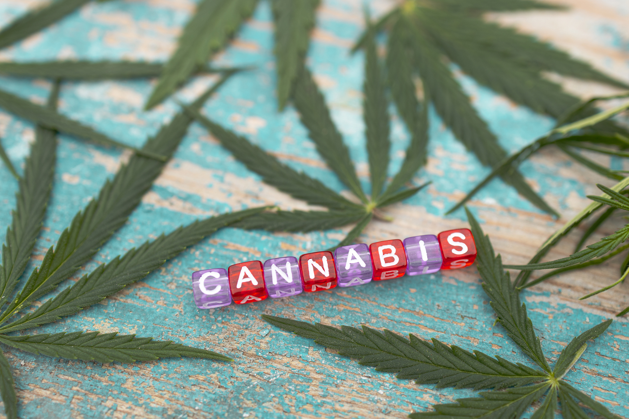 cannabis inscription in cubes with marijuana leaves around.