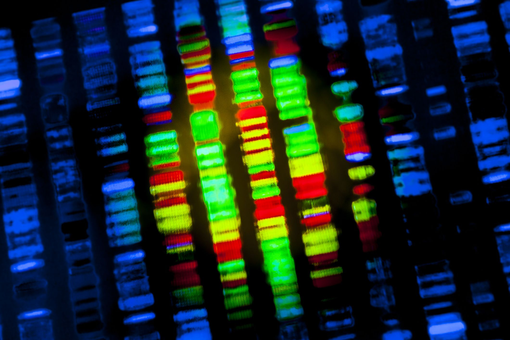 DNA sequencing.