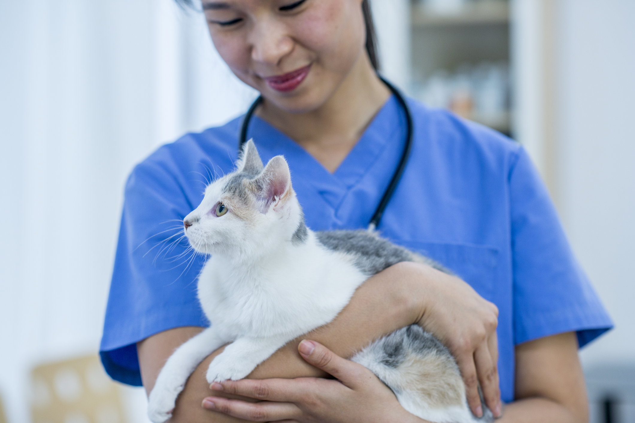 A veterinarian smiles as she holds a cat.