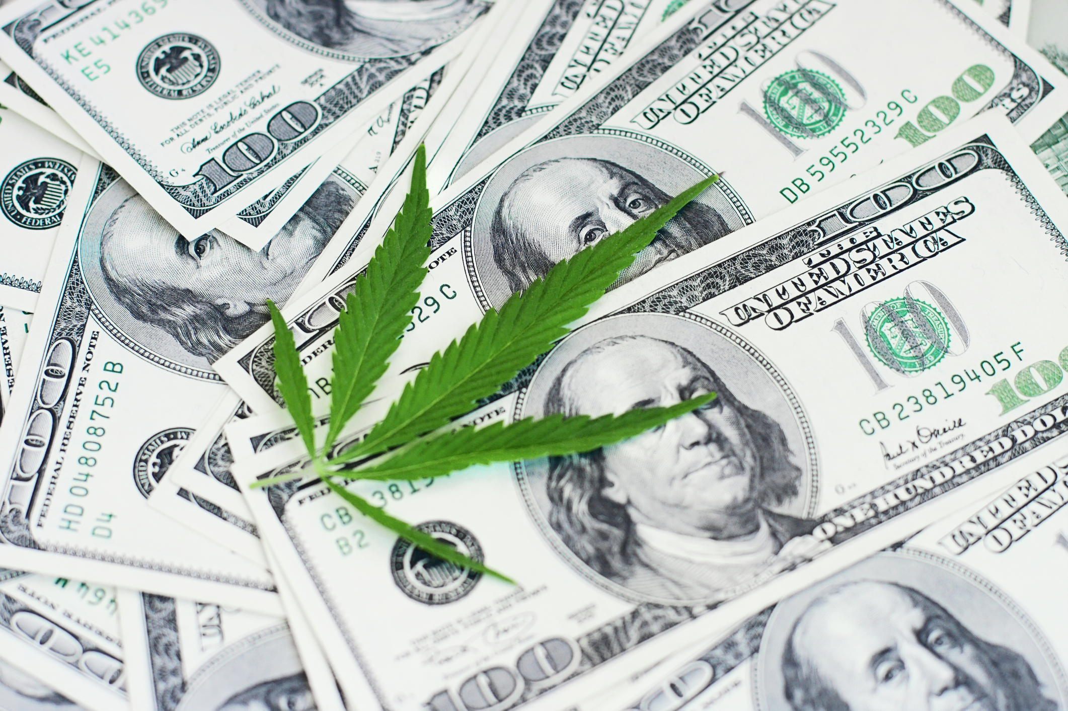 Cannabis leaf on top of a pile of $100 bills