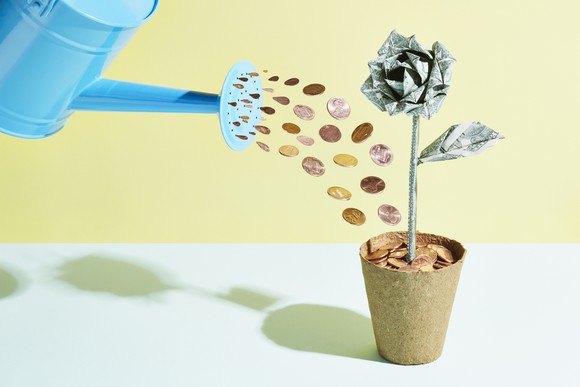 A rendering of a watering can shooting pennies into a potted plant that sprouts a rose made of cash. 