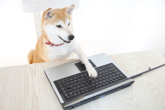 A shiba inu dog, the breed featured in the doge meme, puts a paw on a laptop PC.