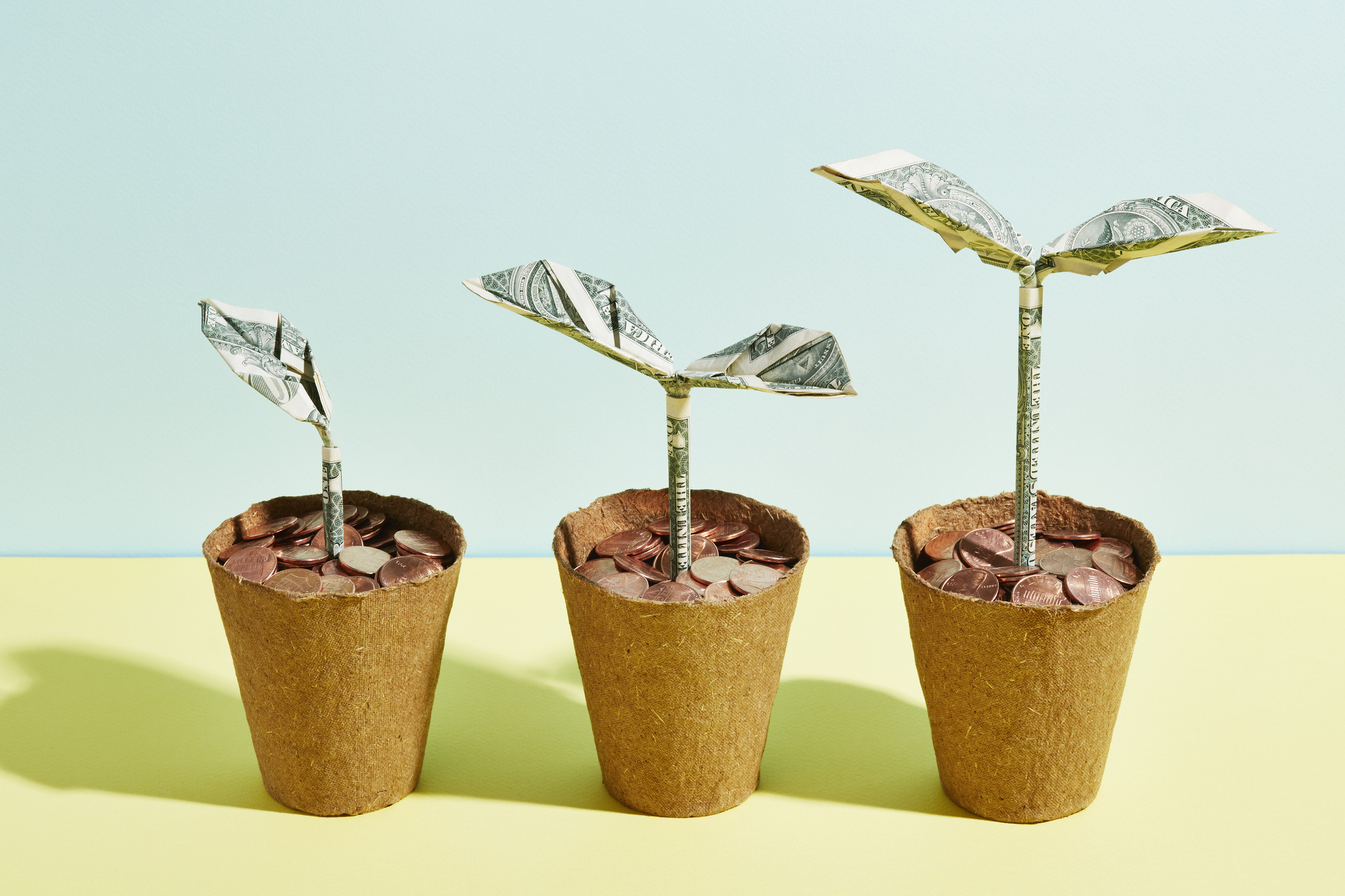 3 flower pots with pennies growing into dollars