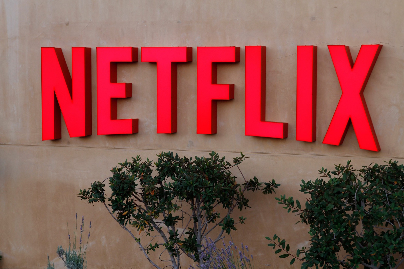 Netflix logo on a wall, sitting above some trees.
