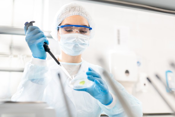 A researcher studying a sample in a Petri dish.