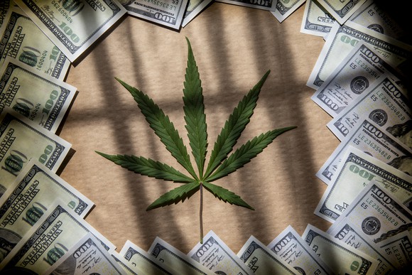 a marijuana leaf surrounded by American dollar bills.