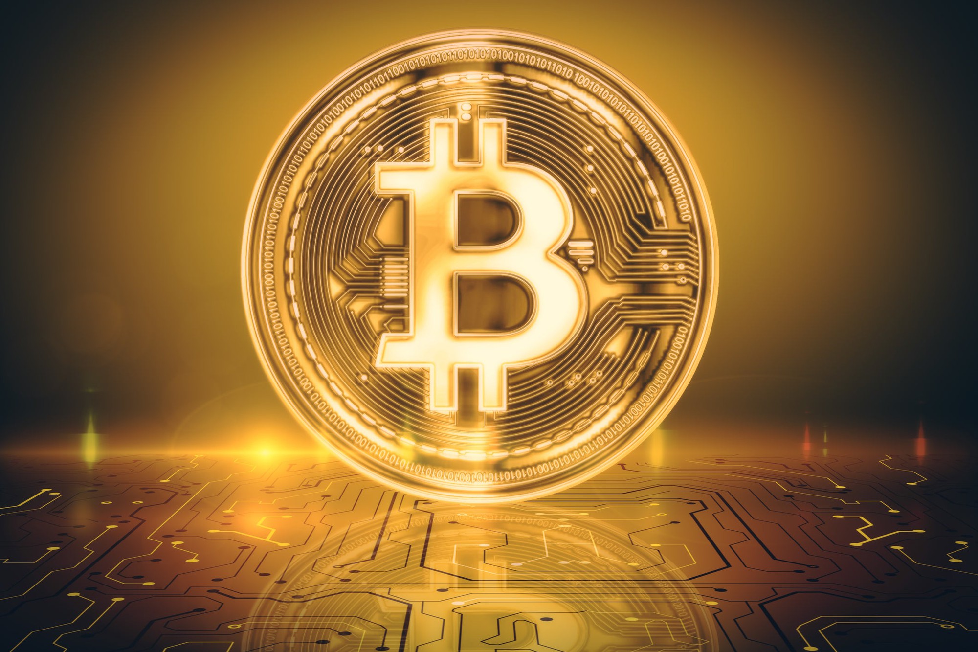 A Bitcoin logo.