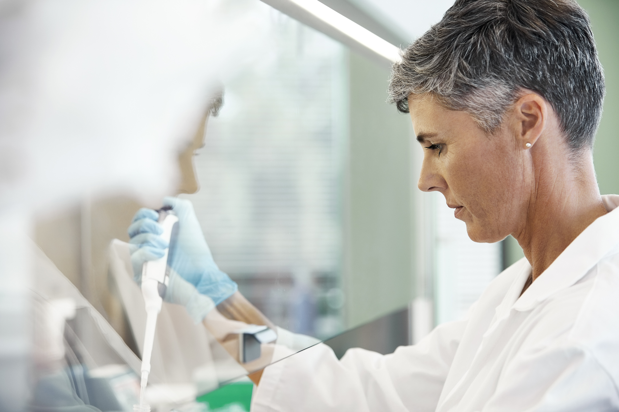 Scientist pipetting under a fume hood.