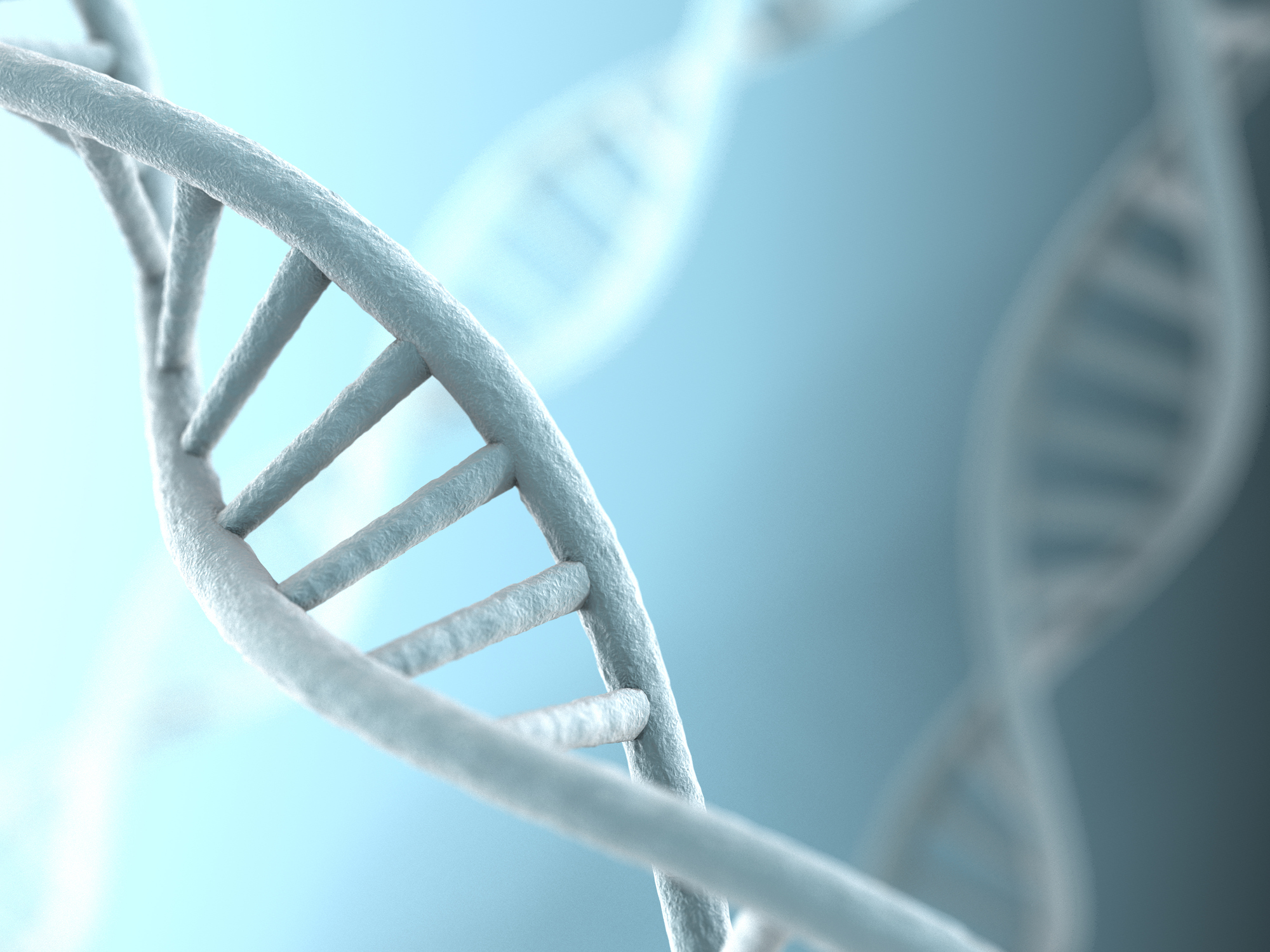 Up-close image of a strand of DNA.