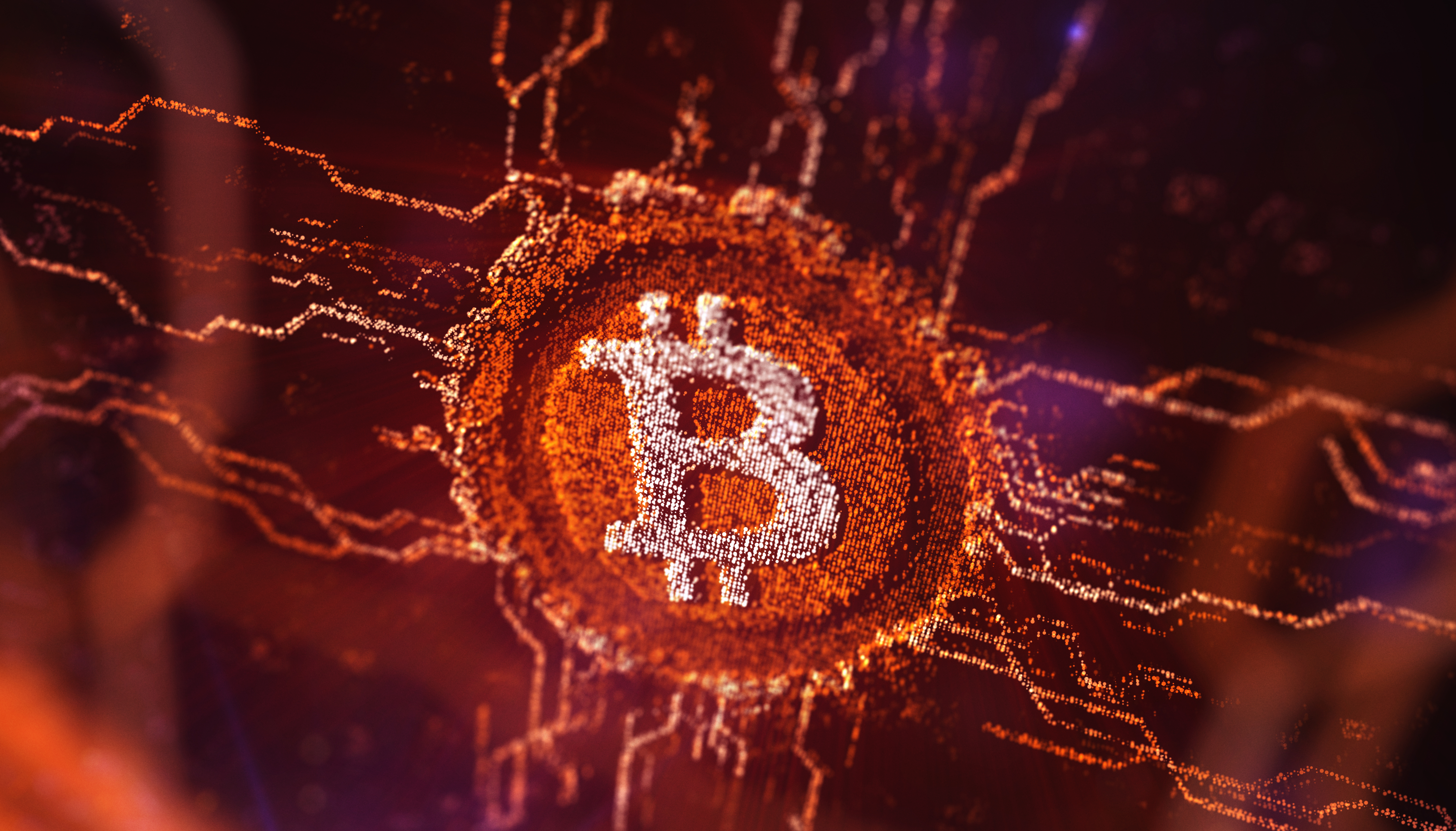 Bitcoin logo on a digital circuit board.