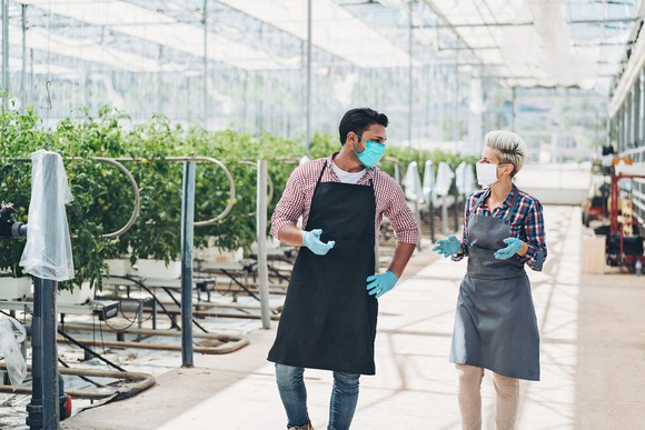 Two people talking with plants in the background.