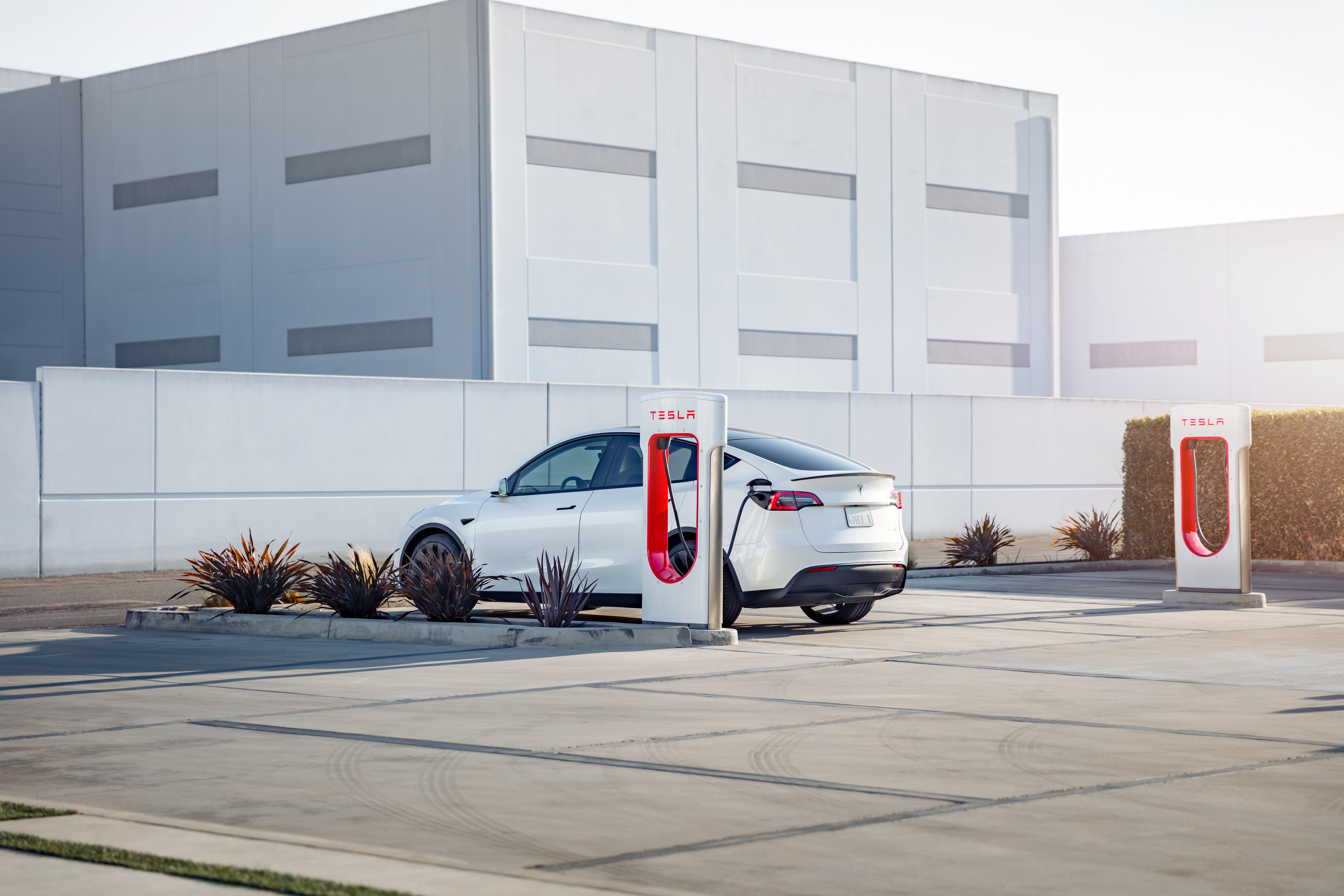Why Tesla Stock Finally Put On The Brakes Today The Motley Fool
