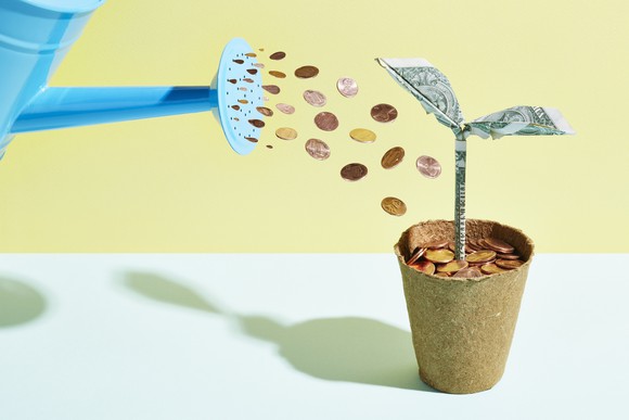 Watering a money plant with coins from the sprinkler head of a watering can.  