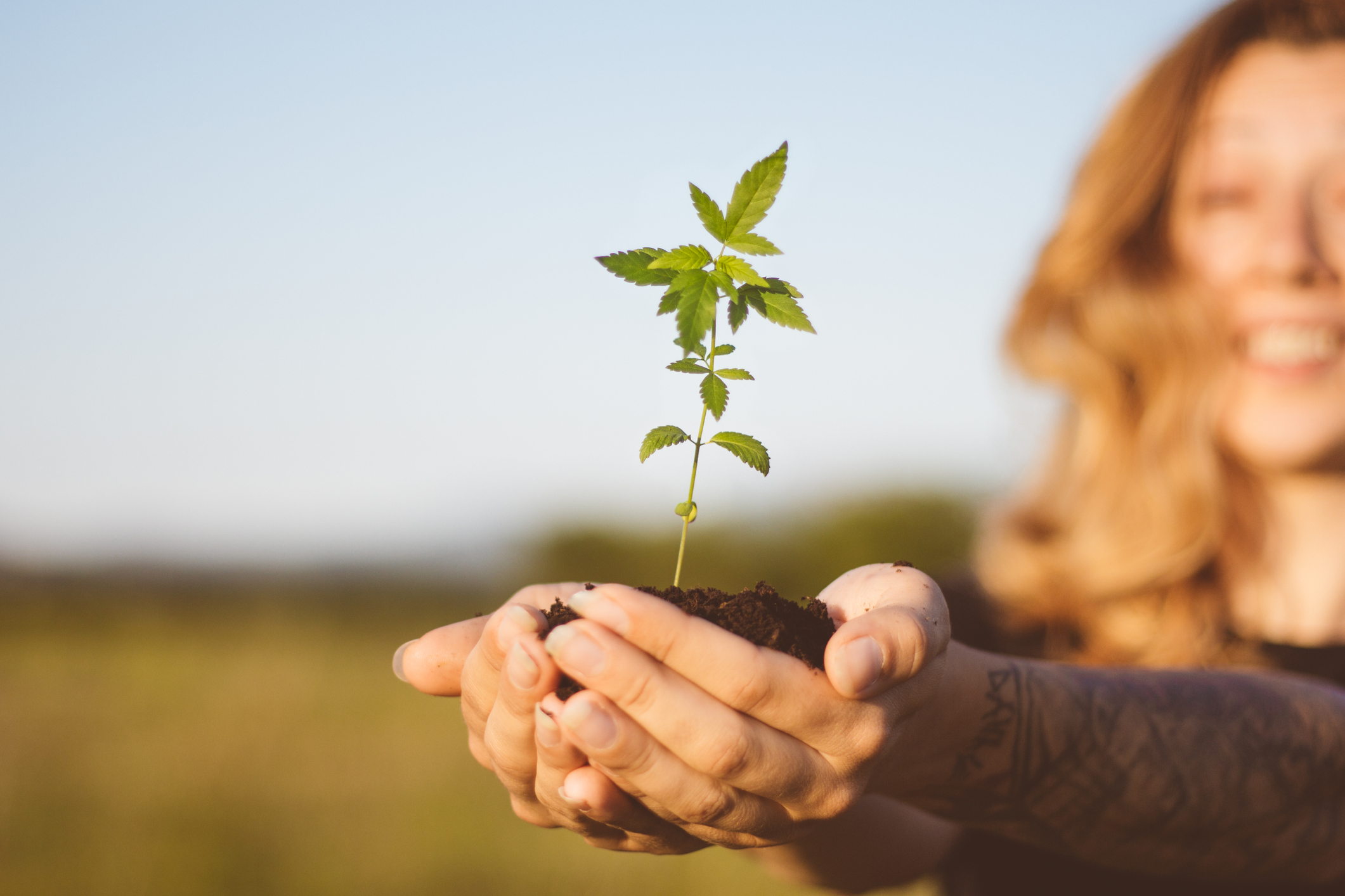 Happy woman holding marijuana seedling.