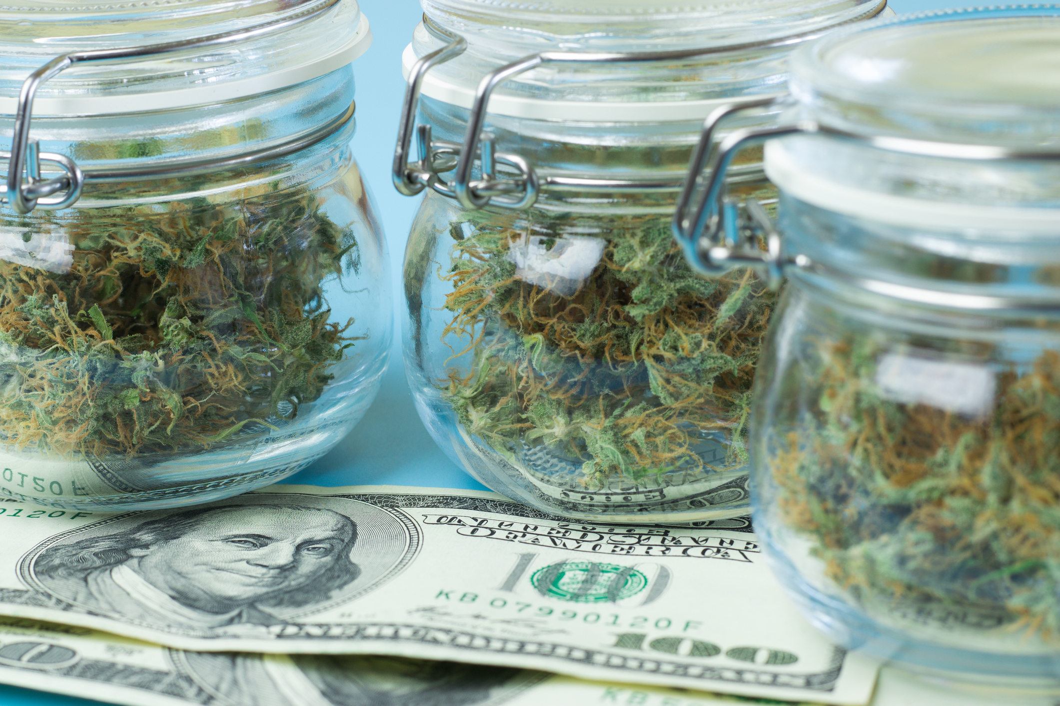 Jars of marijuana with hundred dollar bills nearby.