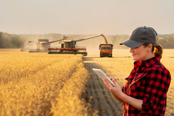 A female farmer looks at a computer pad while standing out in a field as a combine harvests crops in the background and deposits the harvest is a truck