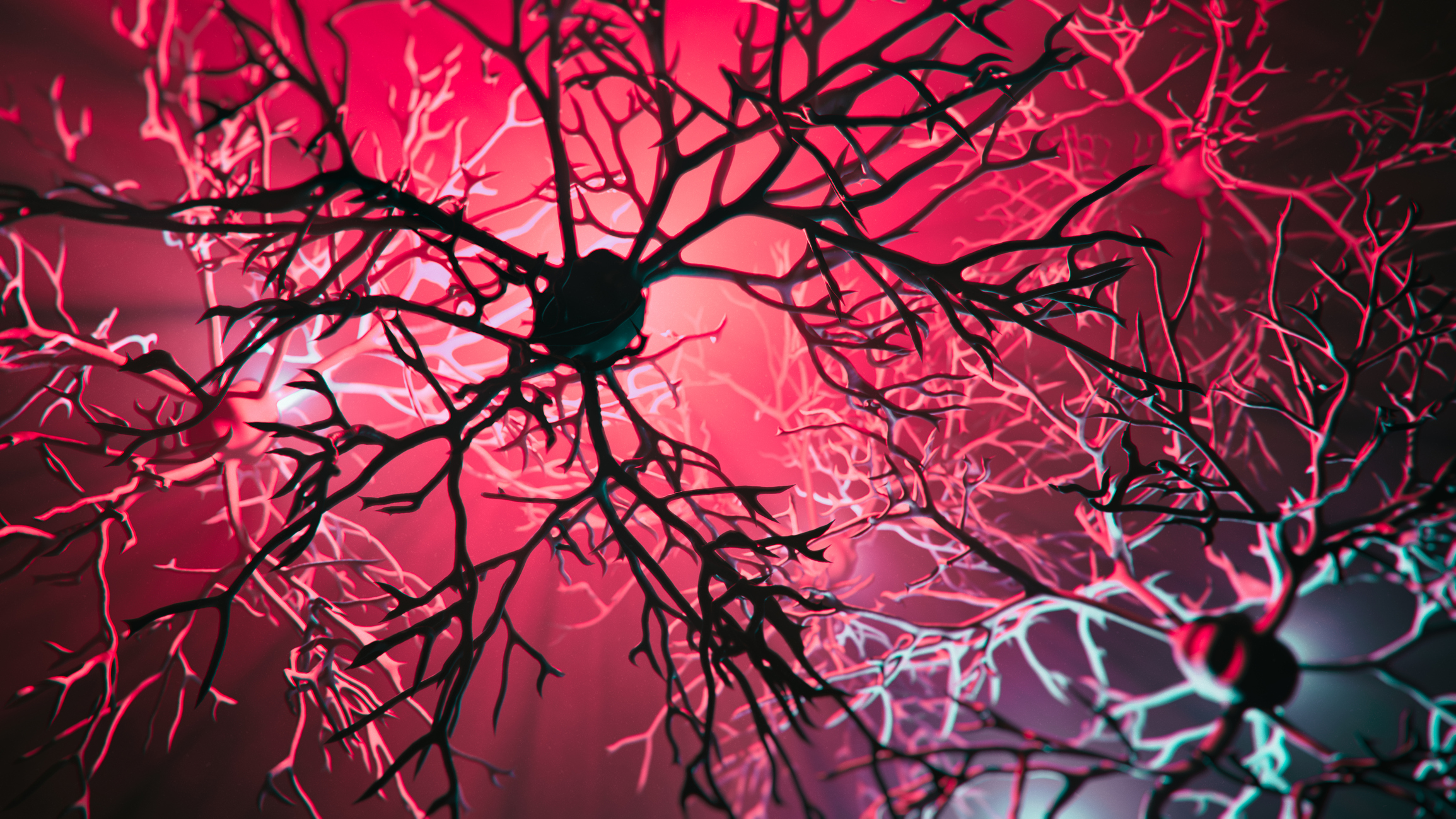 Images of nerve cells.