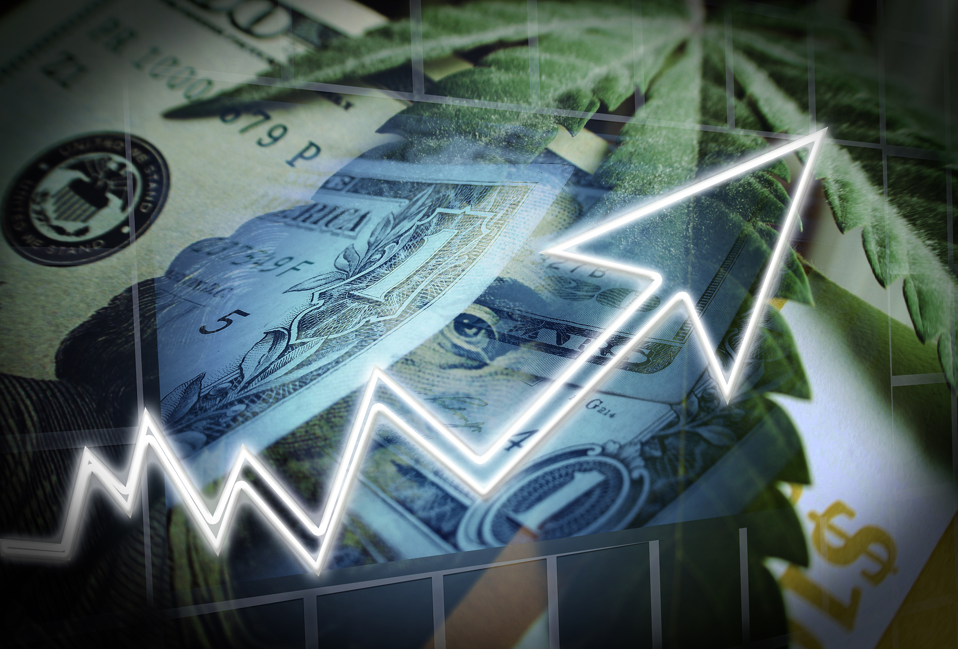 Cannabis on top of money with an up arrow.