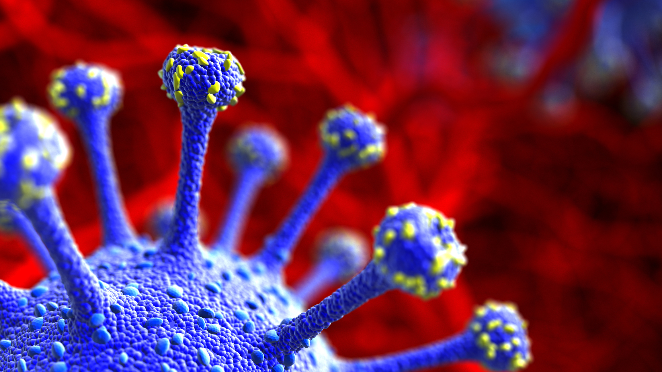 Close up image of the novel coronavirus.