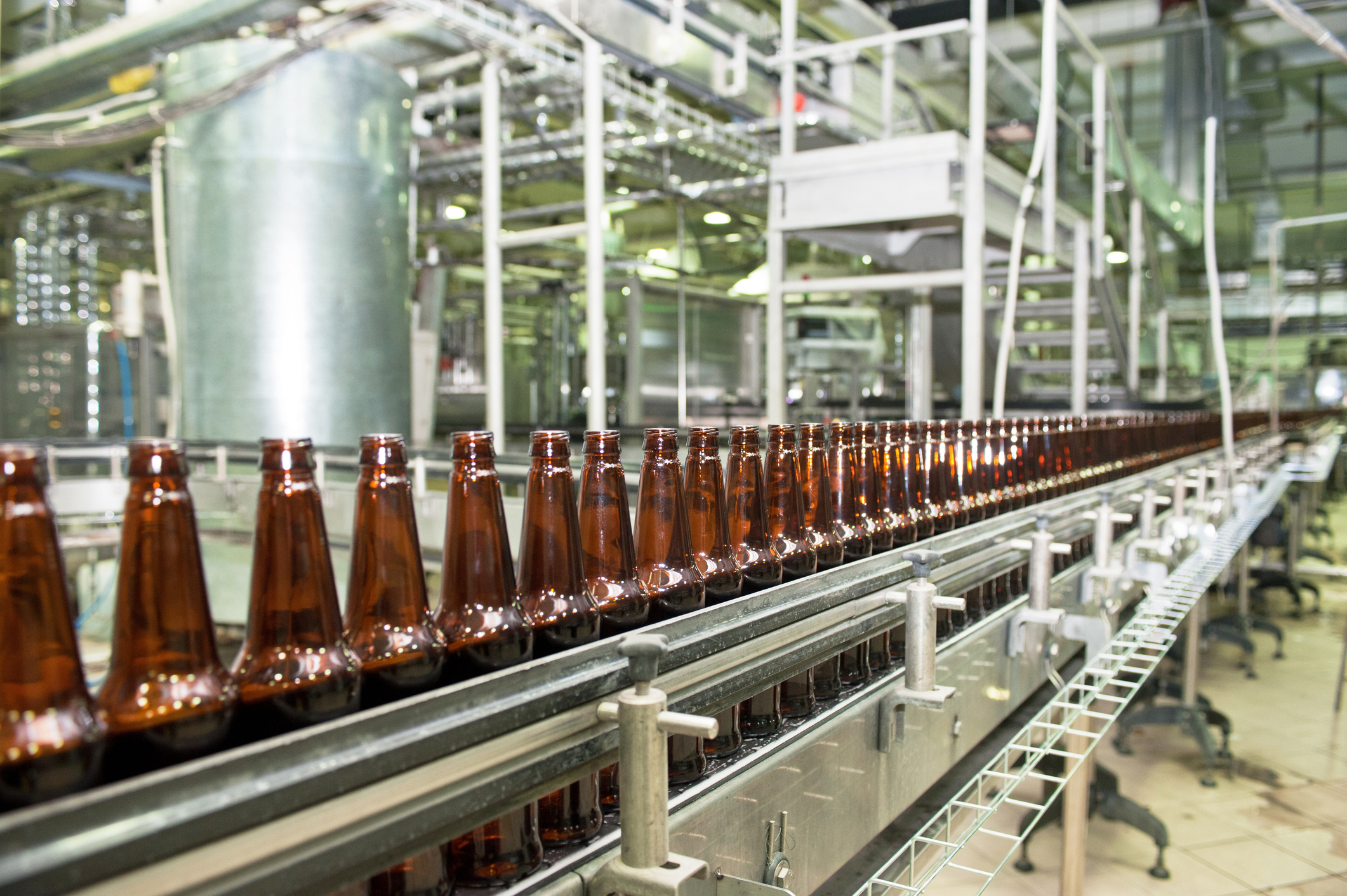Empty bottles moving through a large bottling plant.