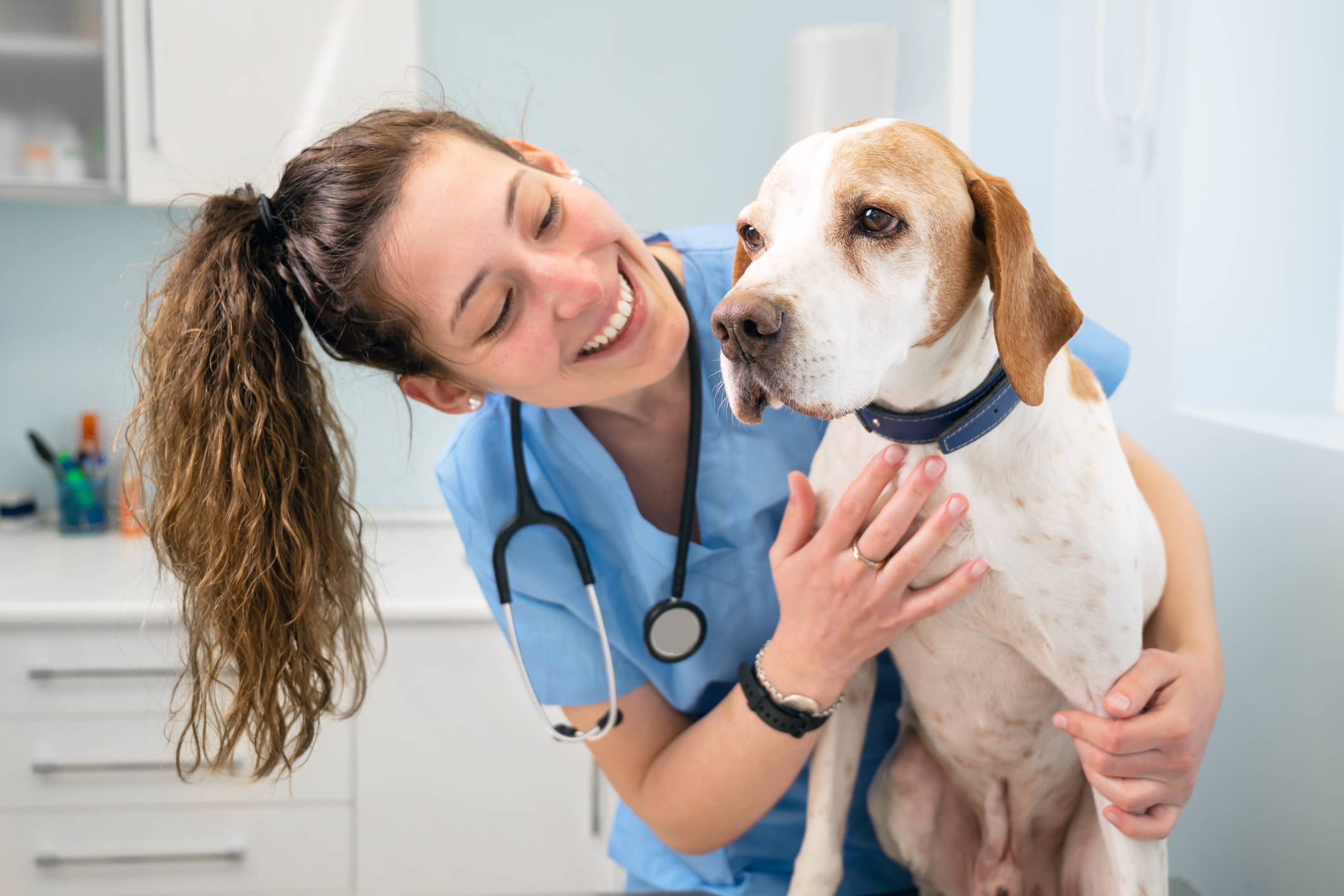 Vet holding a dog.