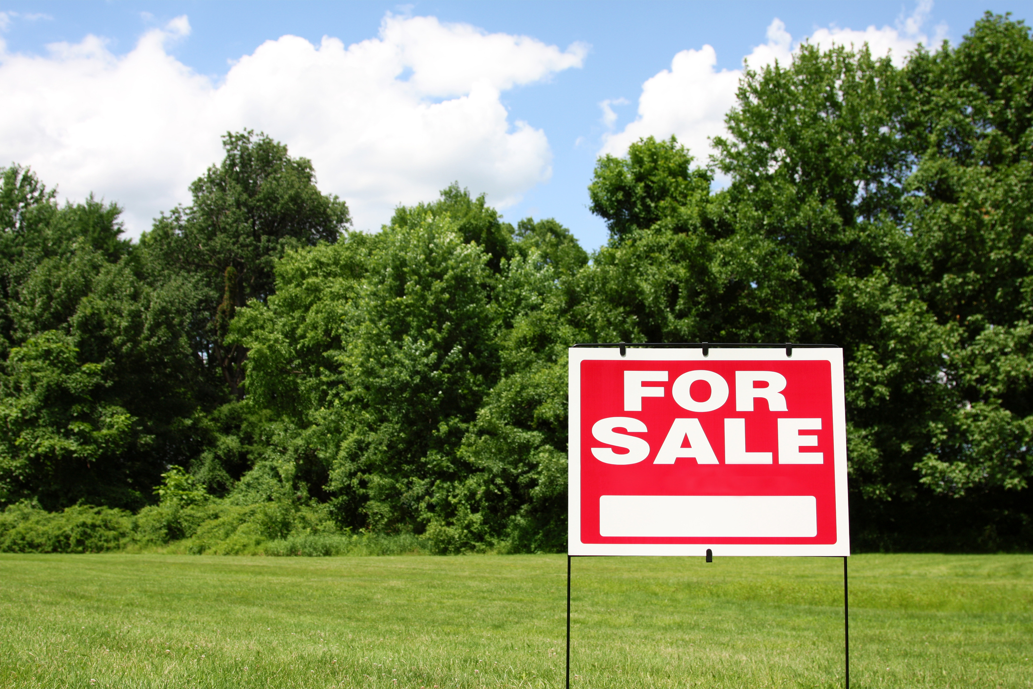 For sale sign on vacant land.
