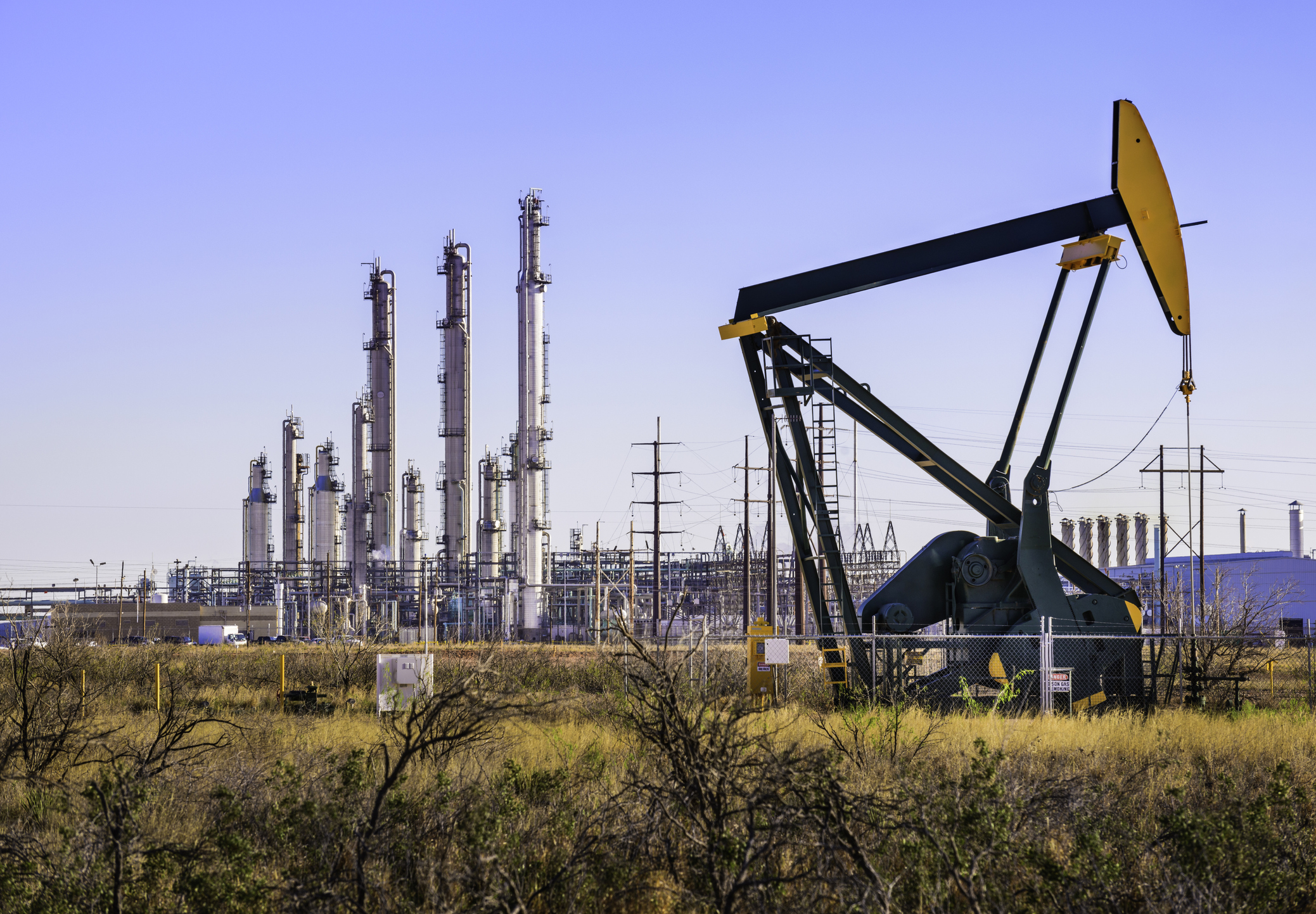 Could This Be the Next Big Oil Trend? - Vimarsana News