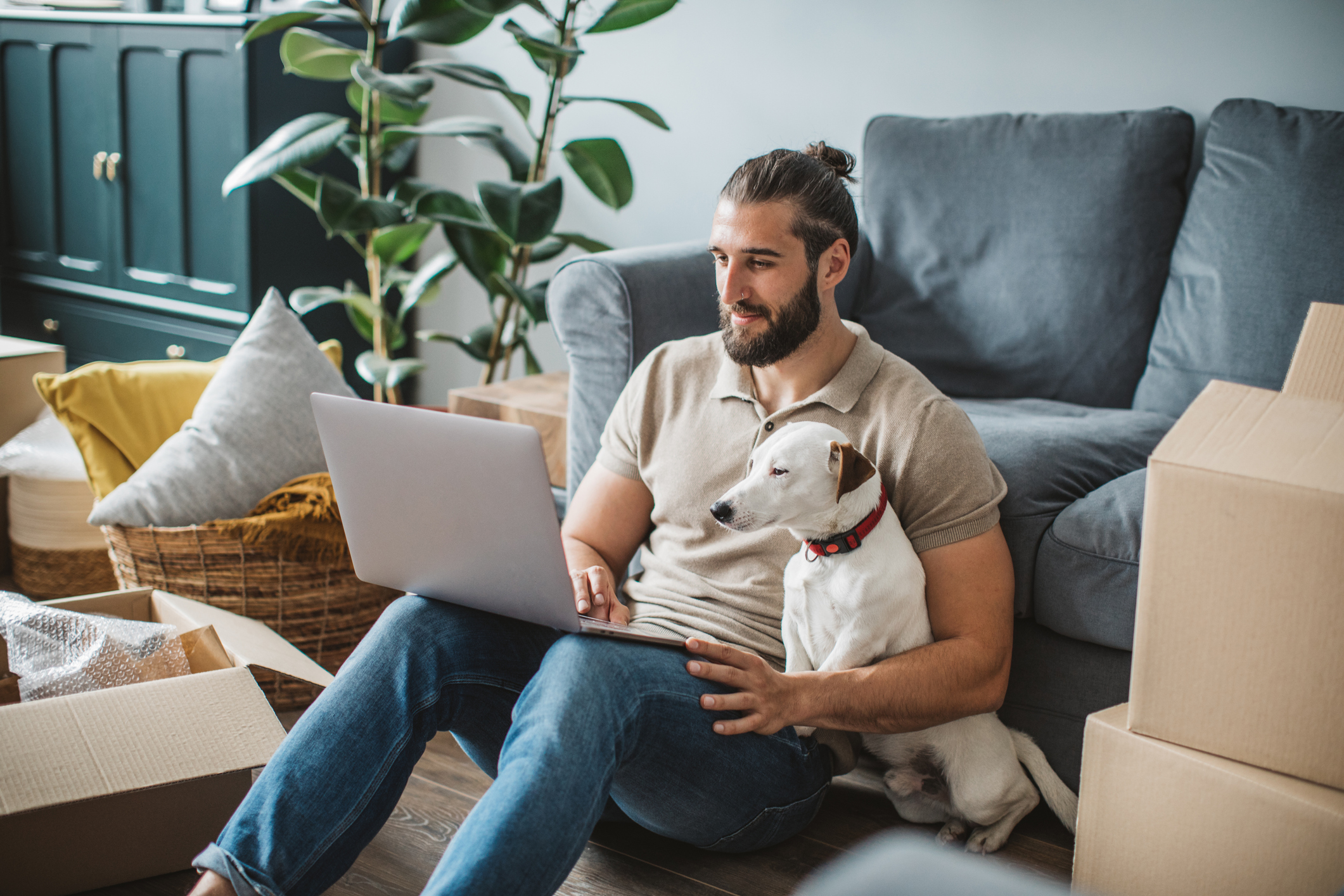 Person and their dog shopping on the computer.