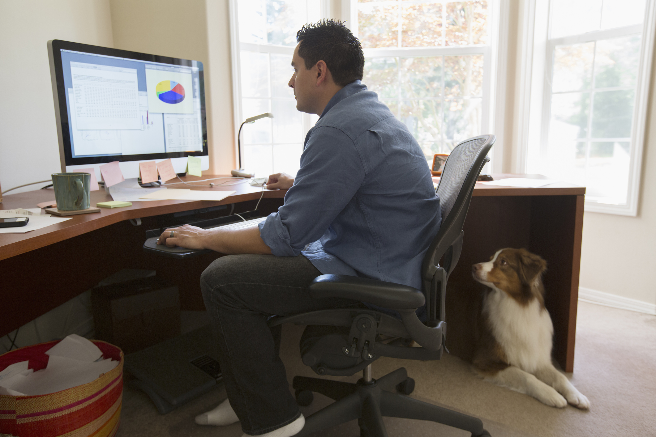 A person sitting in an office chair and working on a computer as a dog sits under the desk.
