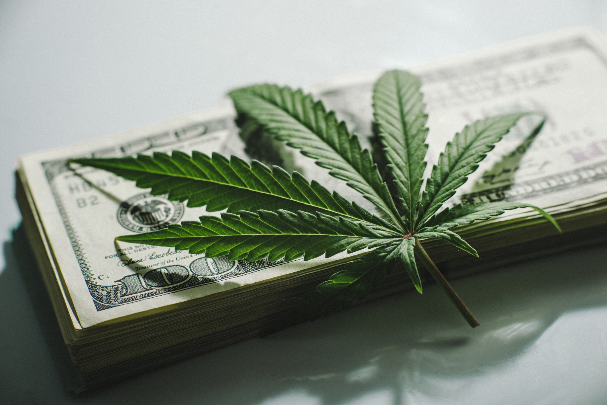 Marijuana leaf on top a bundle of dollar bills.