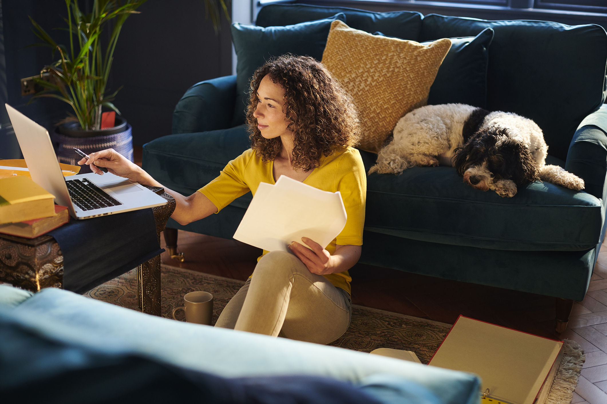 Person sitting on the floor looking at a laptop and documents while dog is resting on a couch in the background.