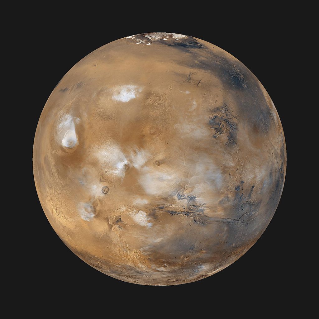 Musk_mars