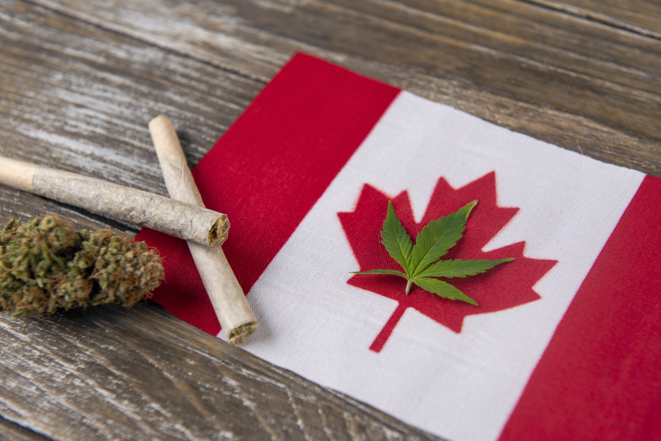 Cannabis leaf on the Canadian flag's maple leaf, with joints and a bud nearby.