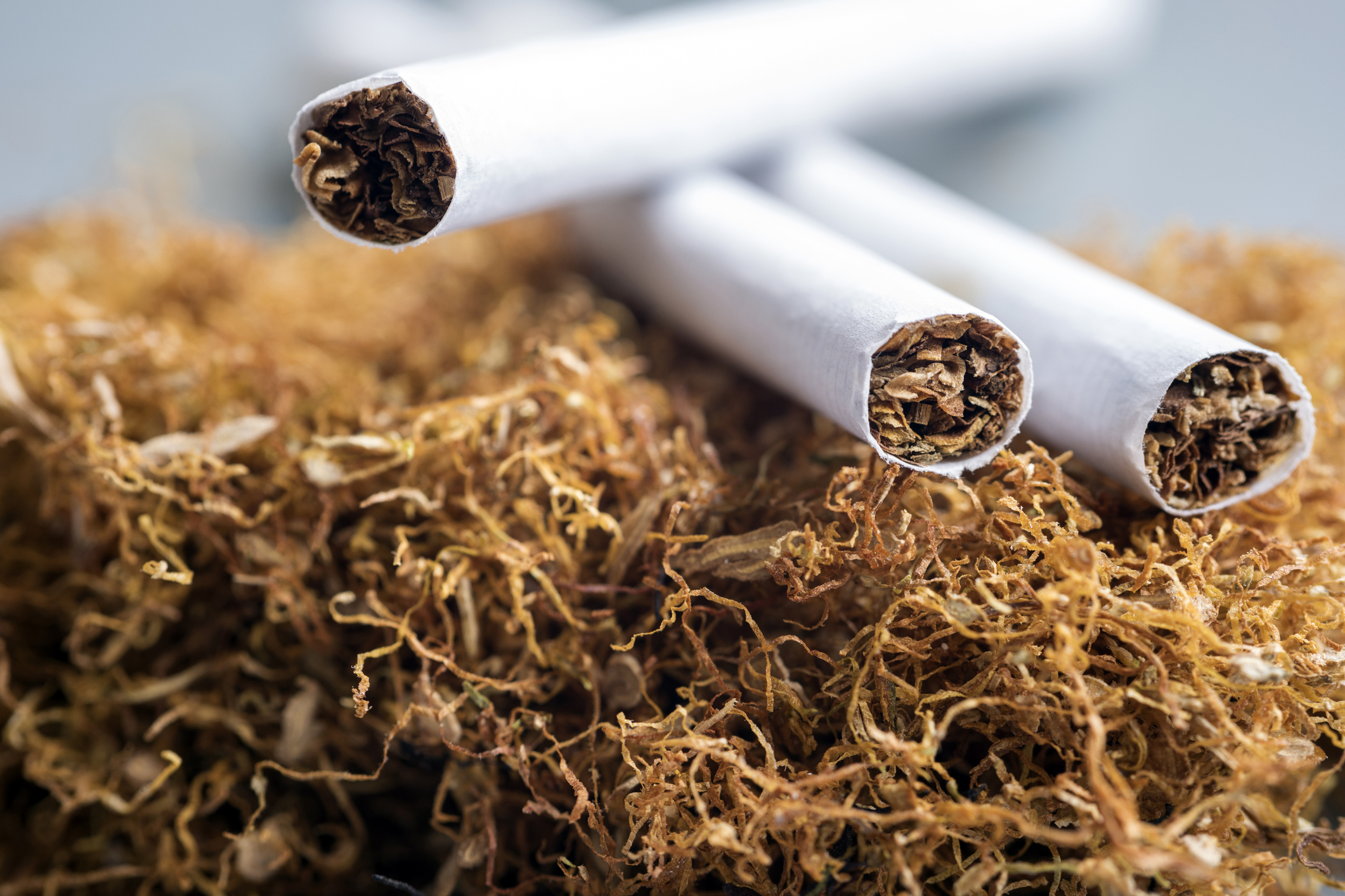 Three cigarettes sitting on a pile of tobacco.