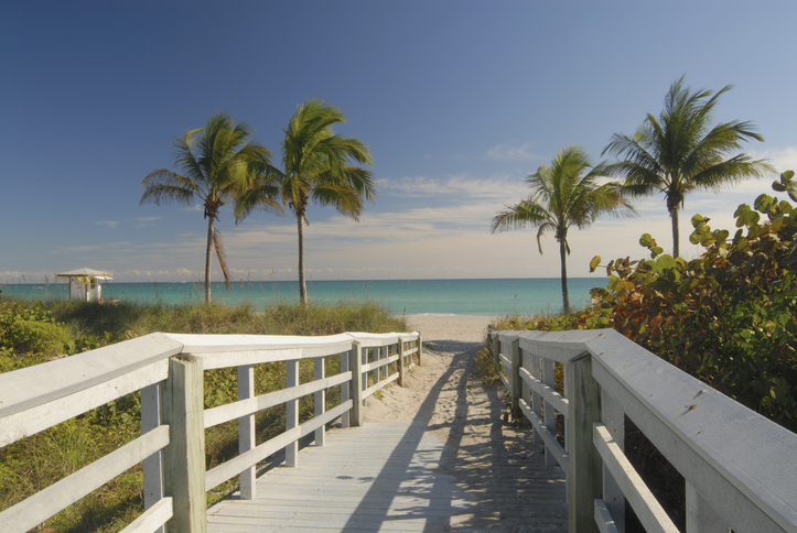 A wooden walkway leads to a sunny Florida beach with palm trees.