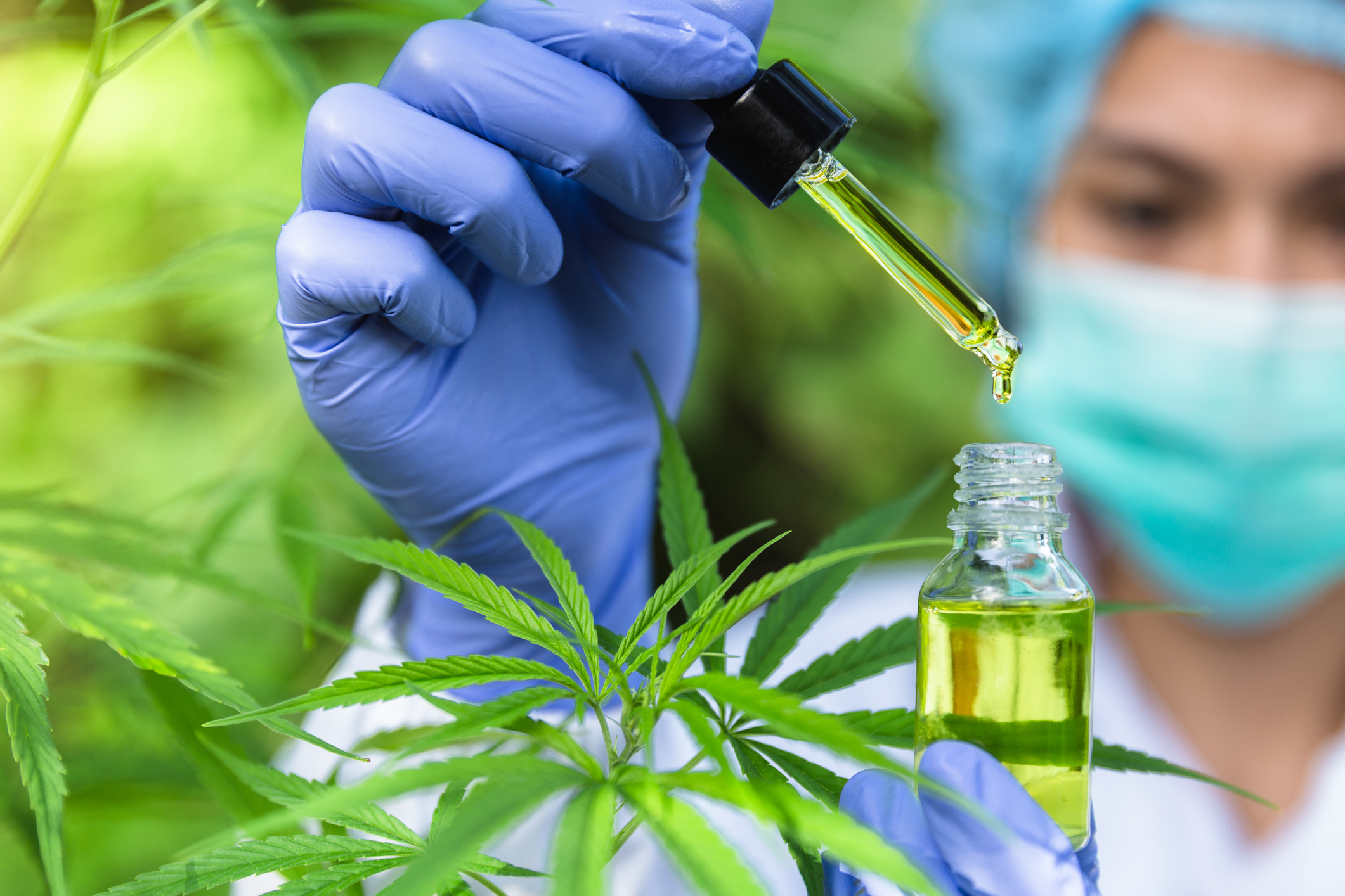 A person holding a bottle of cannabis oil.
