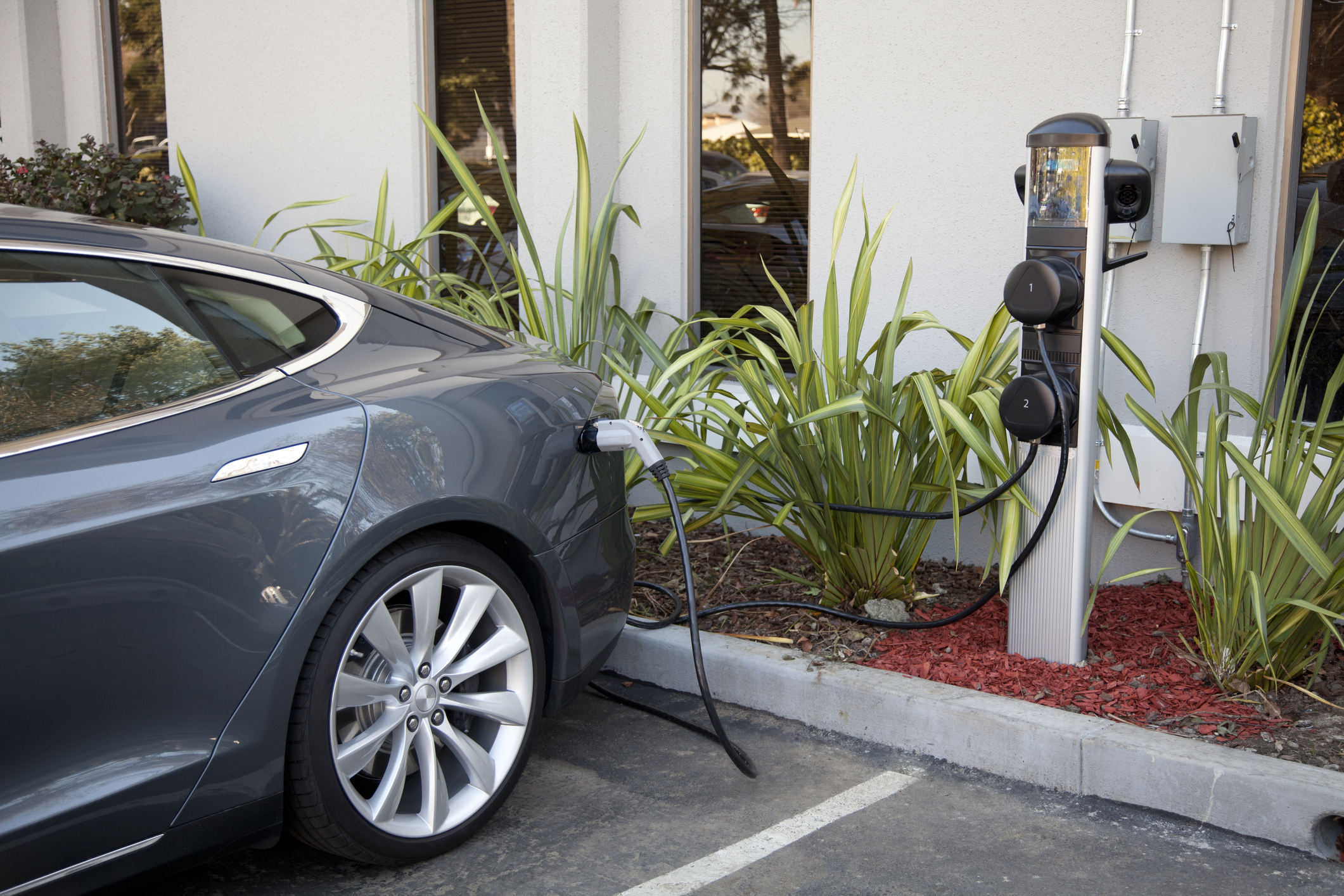 Looking Forward: How Will Tesla Handle Increased EV Competition? - Vimarsana News