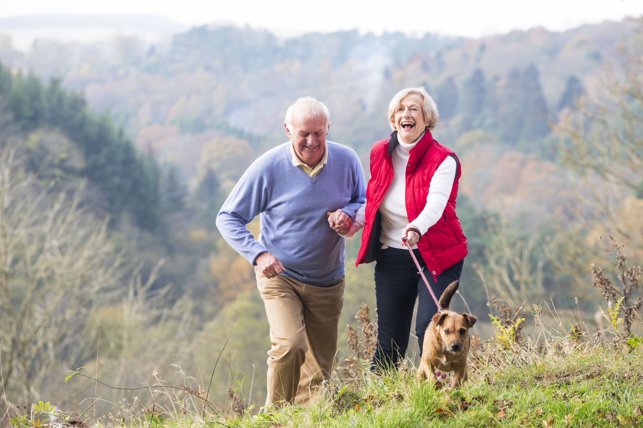 Senior couple with dog GettyImages-532186113