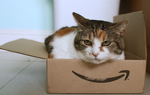 Amazon Launches Insurance Comparison Business in the UK - Vimarsana News