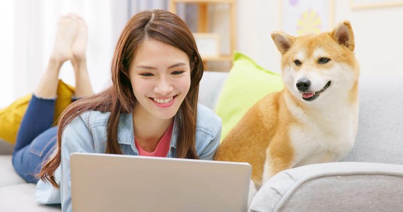 Person with dog looking at laptop.