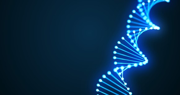 3D model of a DNA double helix molecule. 