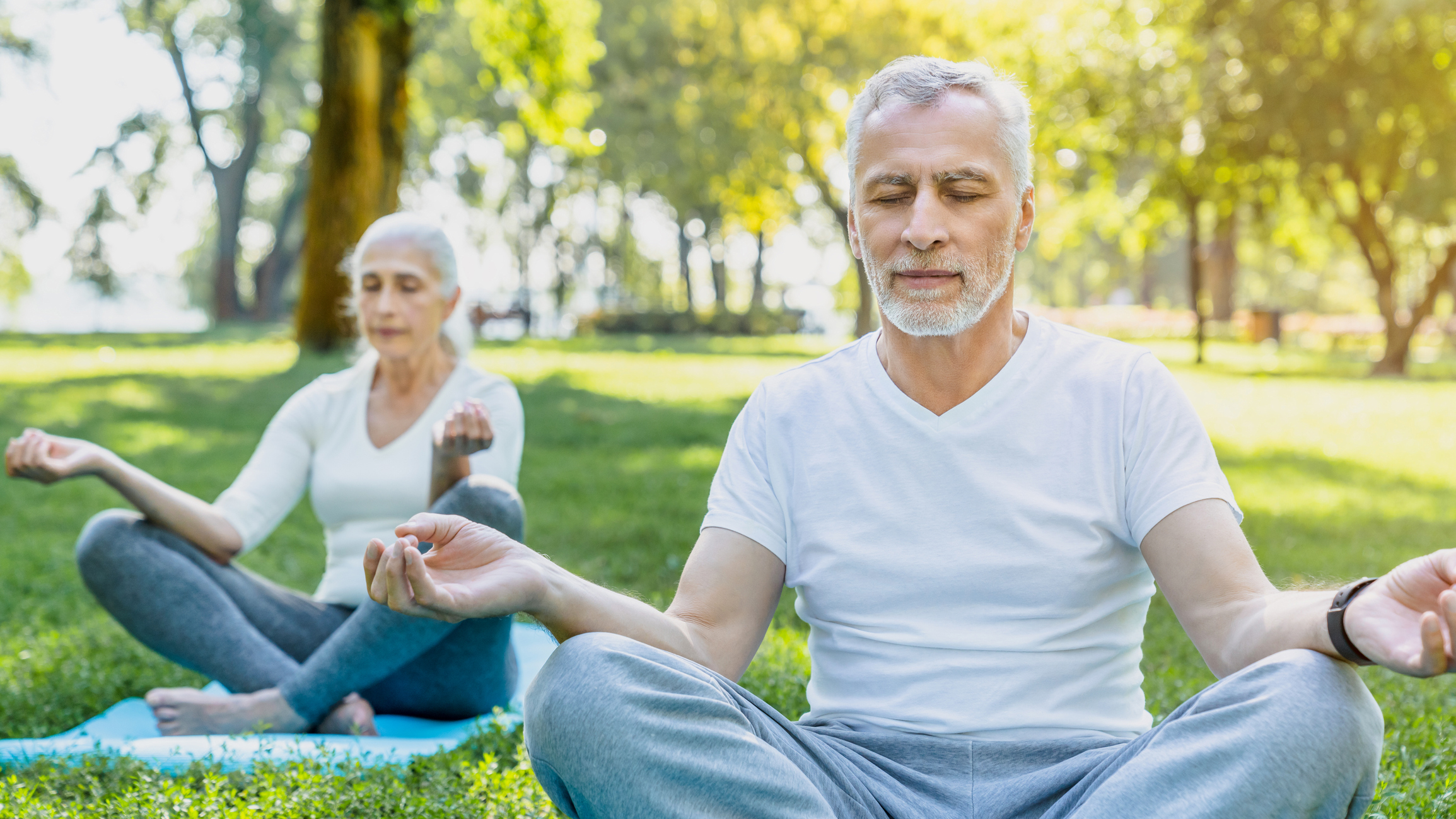 Two people meditating in a park.